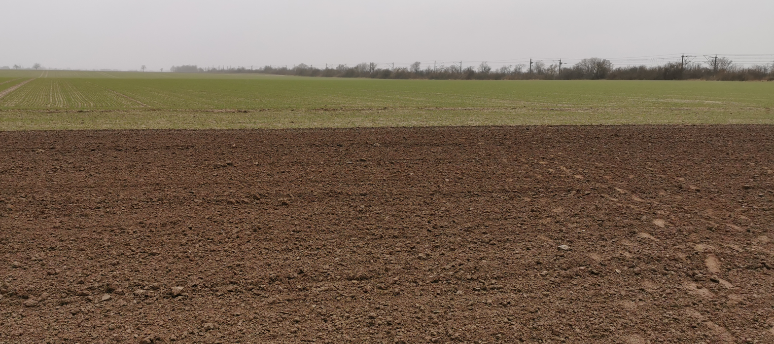 PV Flaeche Roessing1